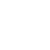 Local Government Icon