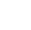 Central Government Icon